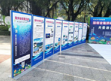 老河口KT板的种类和知识。